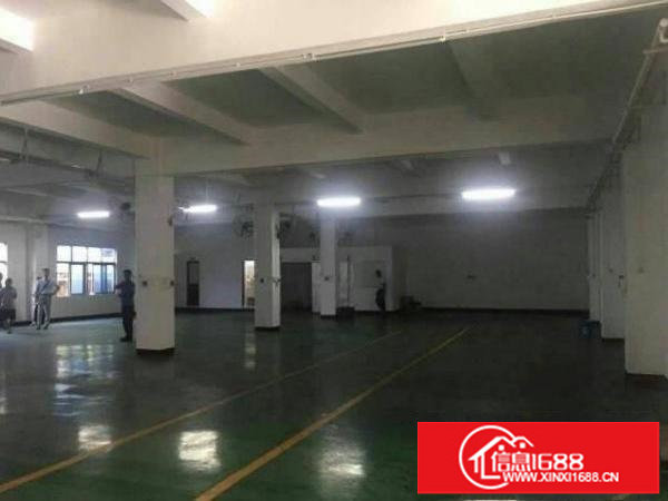 出租布吉信义原房东标准一楼厂房950平有精装办公室