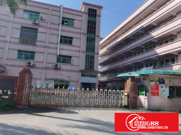 石碣桔洲新出标准独院厂房招租一楼300平方，现成装修