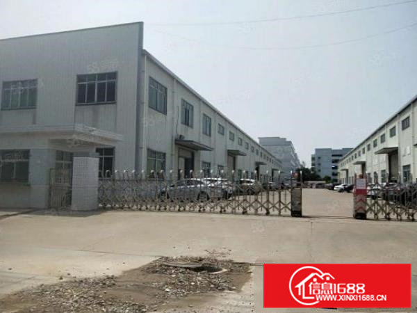 村头工业区单一层钢构1000平方出租（实际面积无公摊）