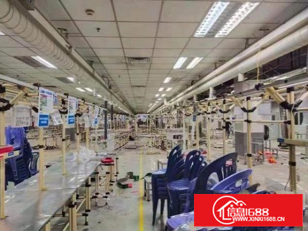 长安靠深圳新出花园厂房原房东