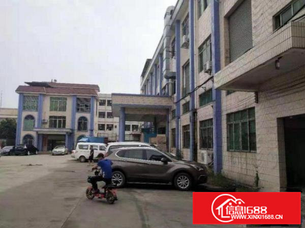 新联工业区一楼1250平招租可办环评精装修办公室