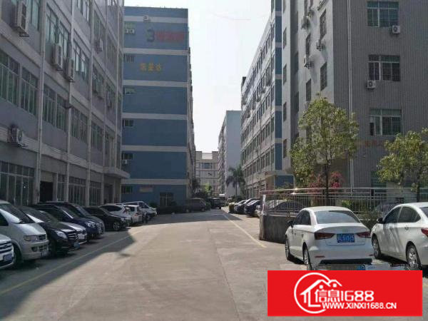 横岗高速出口楼上1100平精装修红本厂房出租