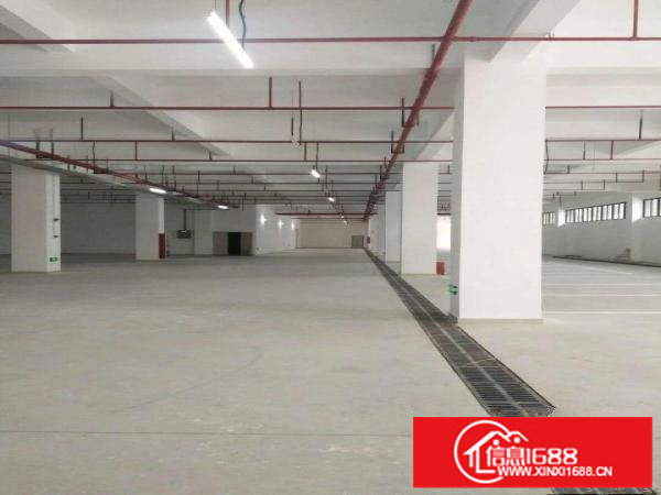 横岗228工业区一楼800平方，楼上1300平可分