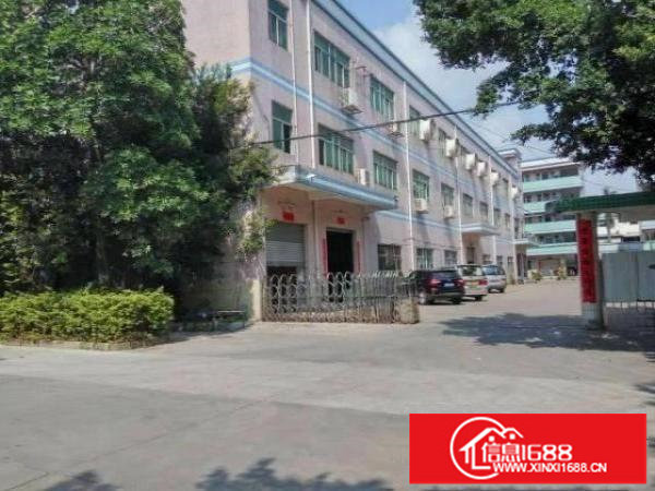 坪山碧岭新出原房东带装修一楼600平厂房出租