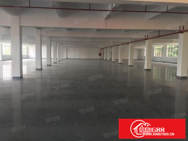 可分租全新原房东独门独院厂房出租2200平米带装修