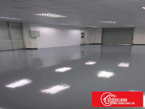 （出租）深圳龙岗坂田厂房/办公室/电商300平德众工业园2楼