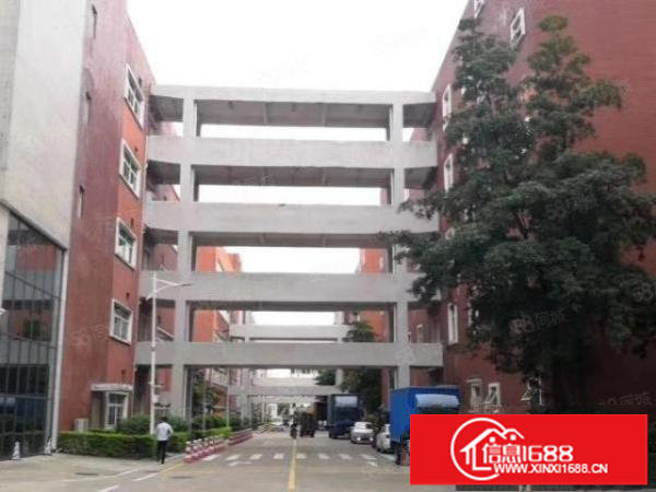 龙华大浪红本厂房仓库出租.花园式厂房500平起租