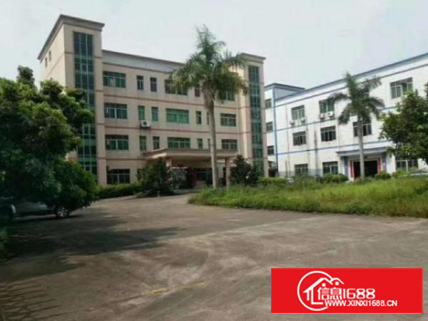 茶山卢边村厂房一楼1200平出租，高7米