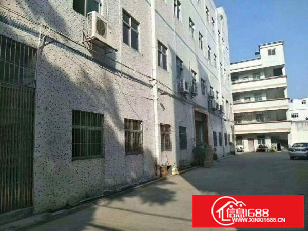 龙岗龙东新出独院厂房14层4600平现成装修厂房