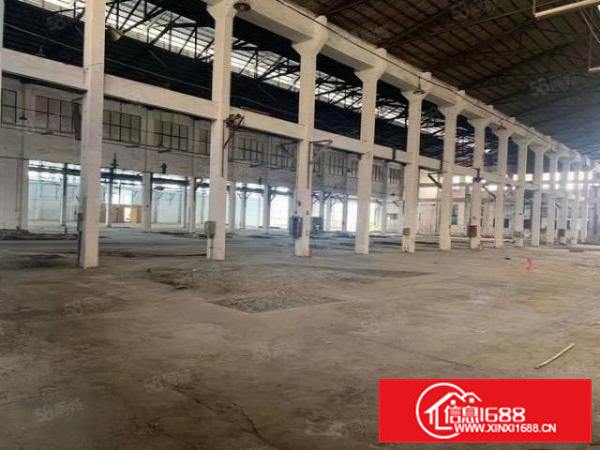 大岭山大塘龙大高速出口处独院钢构6000平出租，滴水9米！