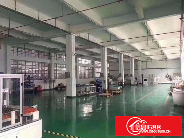 横岗荷坳新出厂房800平报价20高度6米临近机荷高