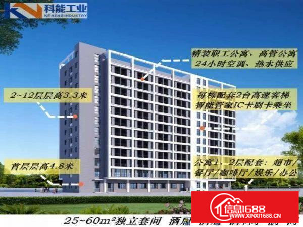 大岭山新出高规格标准厂房3000平方,可分租