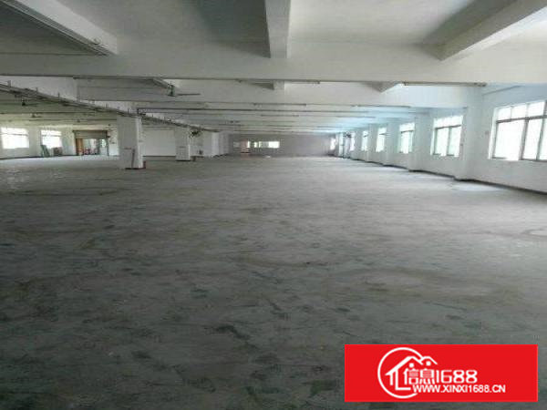 长安新出一楼600平米带装修带环评厂房招租