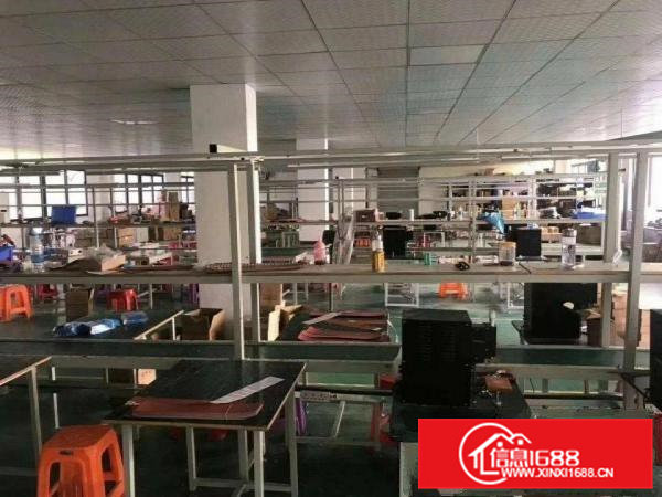 凤岗金凤凰独门独院二楼厂房950平米装修水电齐全