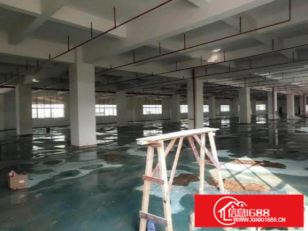 凤岗五联原房东全新独院27600平方厂房出租，可以整层起分租