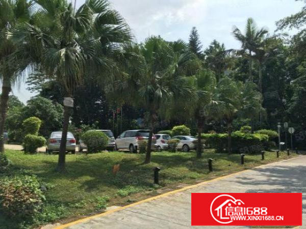 物业直租布吉丹竹头立信路一楼1000平招租（可分租）