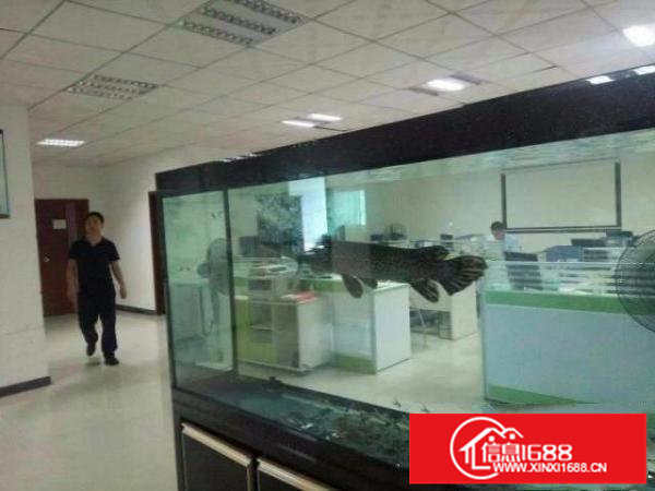 龙岗宝龙楼上1800平方精装修厂房出租