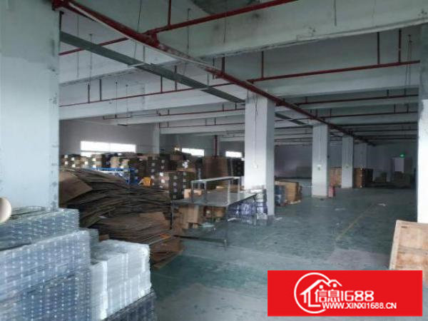 出租龙华区观澜厂房可整租可分租