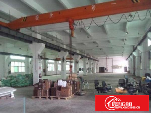 东坑新出标准独院4520平方厂房出租