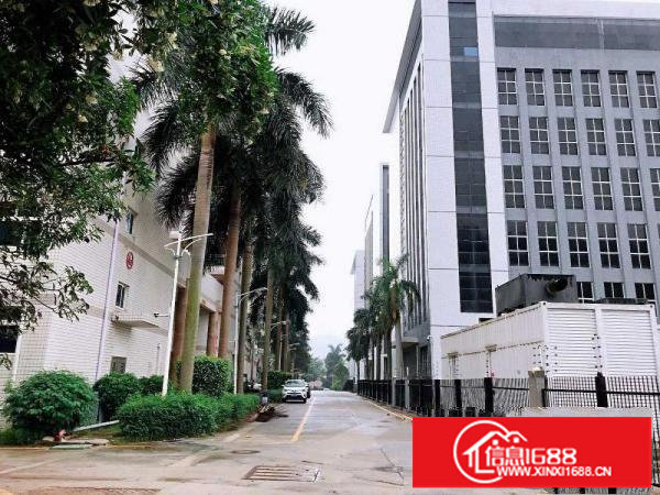 横岗安良新出300平厂房_办公室_电梯房_环境好