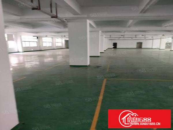 平湖富民工业区2楼整层1800平方出租干净整洁