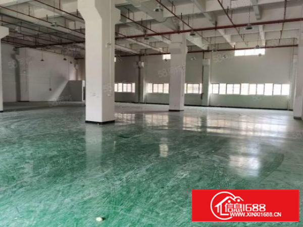 石排新出翻新厂房2000，自带卸货平台，适合各种行业