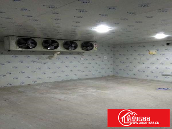 平湖白泥坑海吉星附近一楼900平带冻库厂房急租