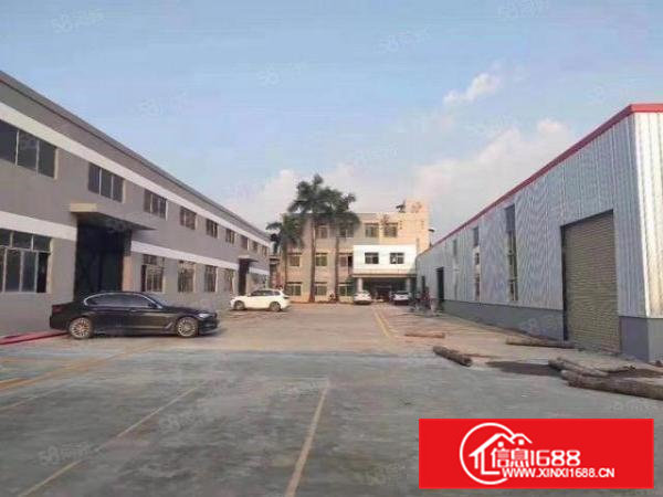 桥头大洲新出原房东独栋3800平方出租滴水7米