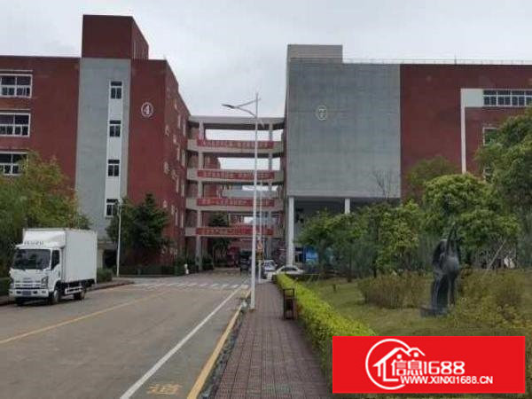 大浪百丽带精装修招租