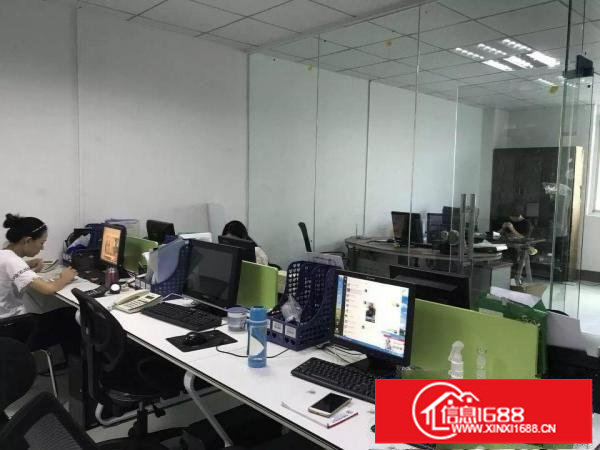 58平88平126平203平300平电商园招租