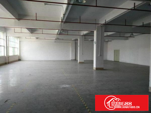 塘厦,标准厂房3200平,带消防喷淋,精装修办公室