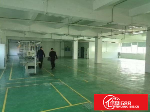 龙岗新生二楼1100平带装修标准厂房出租