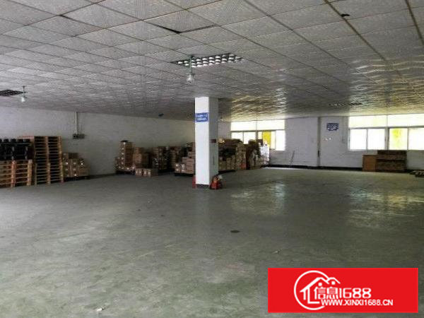 清溪主干道边全新标准独栋厂房17层9660平招租