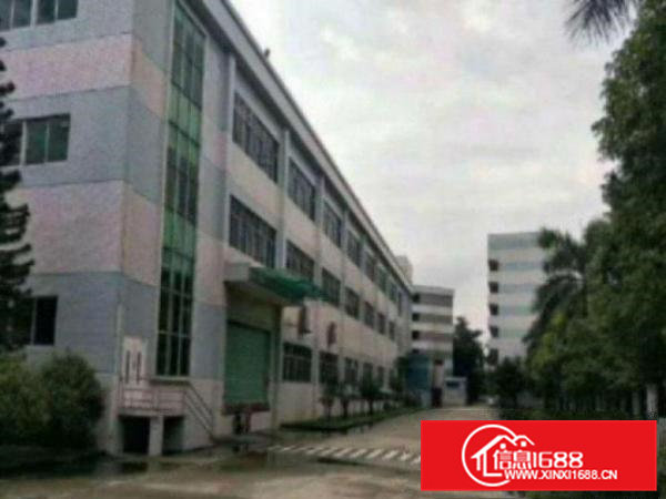 高埗工业区标准一楼2000平方招租水电齐全带消防喷淋