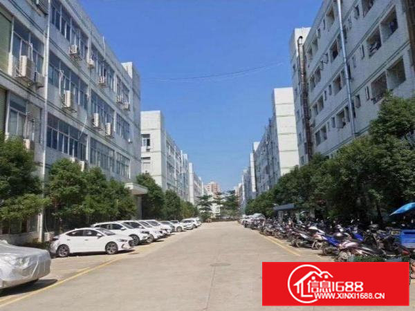 山厦新空出一楼580平（6米高，3吨行车，2间办公室