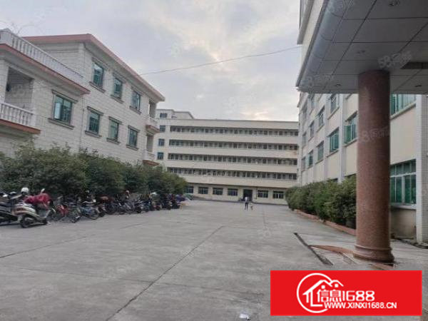 茶山镇新出独院楼房3层4500平方带装修水电线路齐全