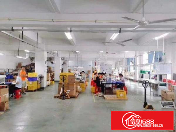 靠近观澜厂房出租楼上带装修800平米?适合组装电子加工电商等