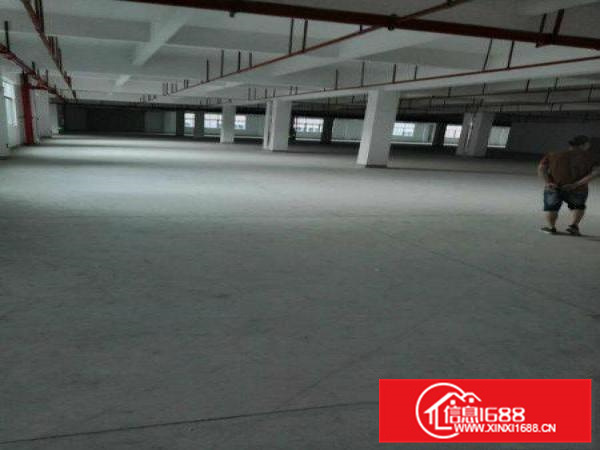 带消防！惠阳三和全新工业园招租！