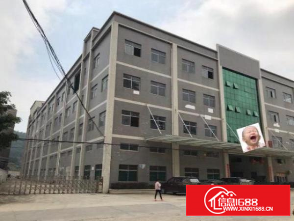 石排镇独院厂房出租便宜