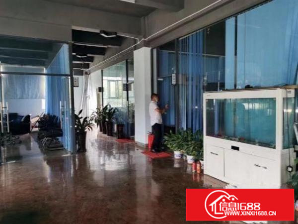 大浪华荣路新出300平厂房出租带精装修出租