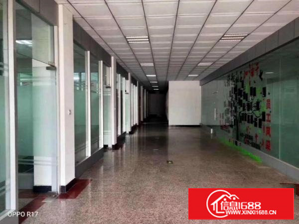 塘厦精装修4楼整层1680平米拎包入住水电齐全