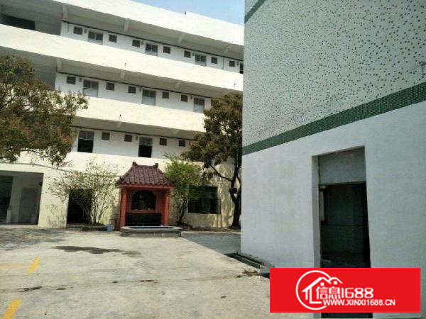 横岗西坑厂房5000平米