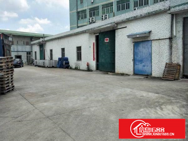 惠阳新圩钢构厂房1000平方出租，滴水6.5米