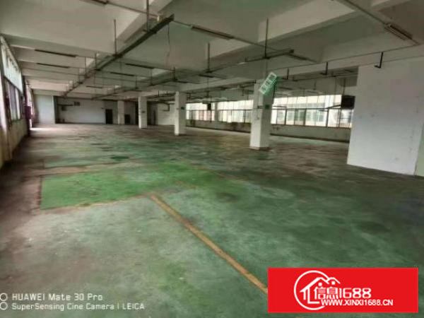 独门独院厂房出租，形象好