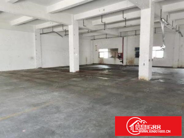 9年合同!空地超大!坑梓秀新原房东5000平独门独院厂房出租