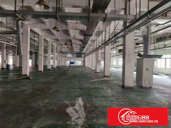 长安镇原房东红本独院厂房18000平，优先整租