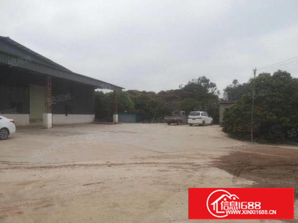 低价厂房出租靠山边全新独院1800平单一层滴水8米