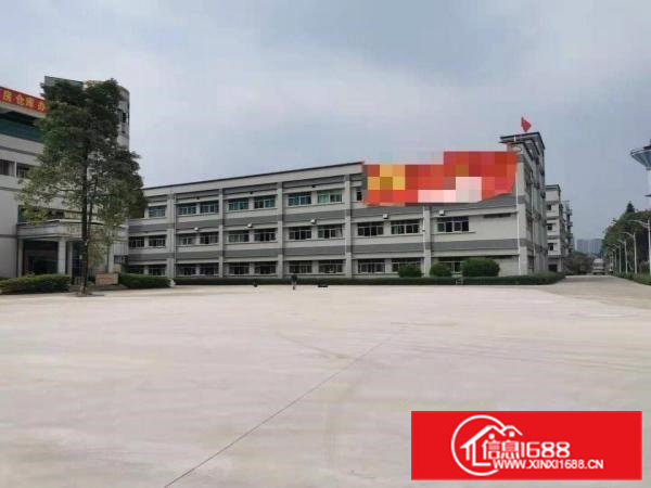 大岭山新出标准独院厂房6000平厂房出租带超大空地