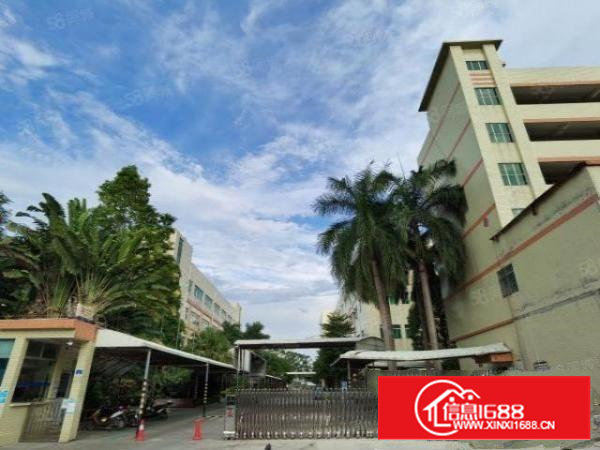 沙井步涌独院原房东4万平厂房招租大小可分使用率高