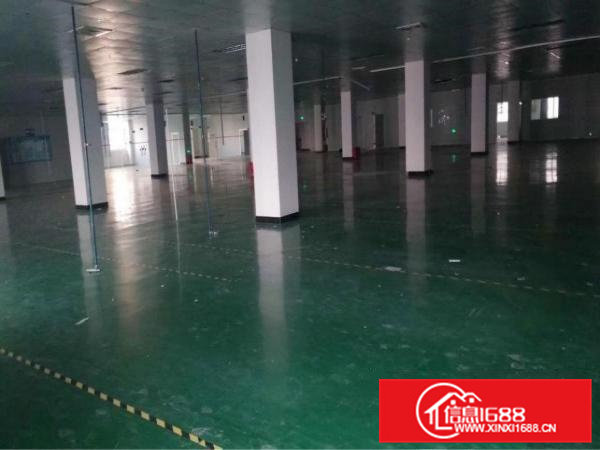 凤岗五联原房东4500平方整层厂房带装修